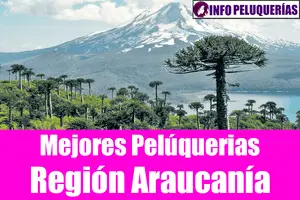 cluster region araucania